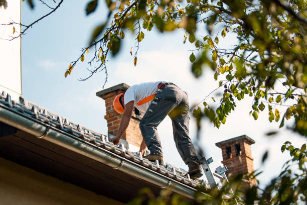 Professional Roofing Contractor in Vienna, IL