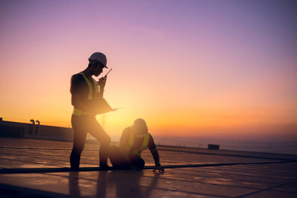 Best Local Roofing Companies  in Vienna, IL