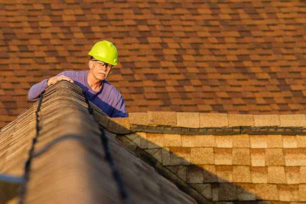 Best Storm Damage Roof Repair  in Vienna, IL