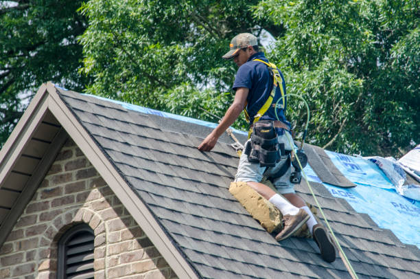 Best Roof Gutter Cleaning  in Vienna, IL